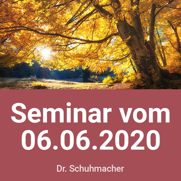 Dr. Guido Schuhmacher Seminar-Aufzeichnung vom 06.06.20 (USB-Stick)