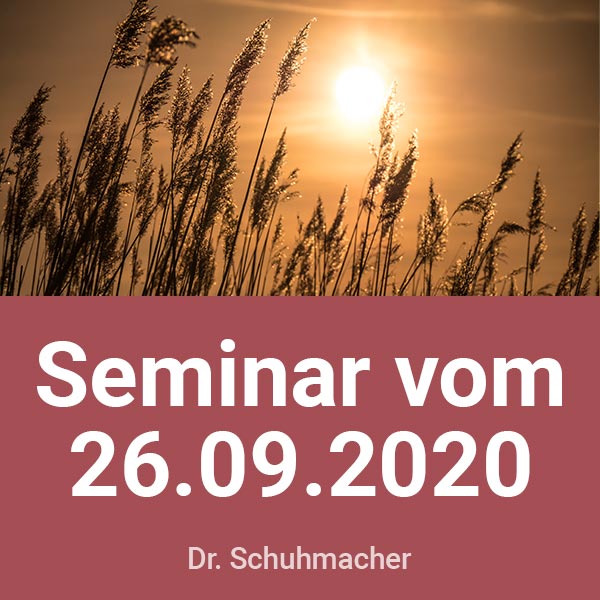 Dr. Guido Schuhmacher Seminar-Aufzeichnung vom 26.09.20 (USB-Stick)