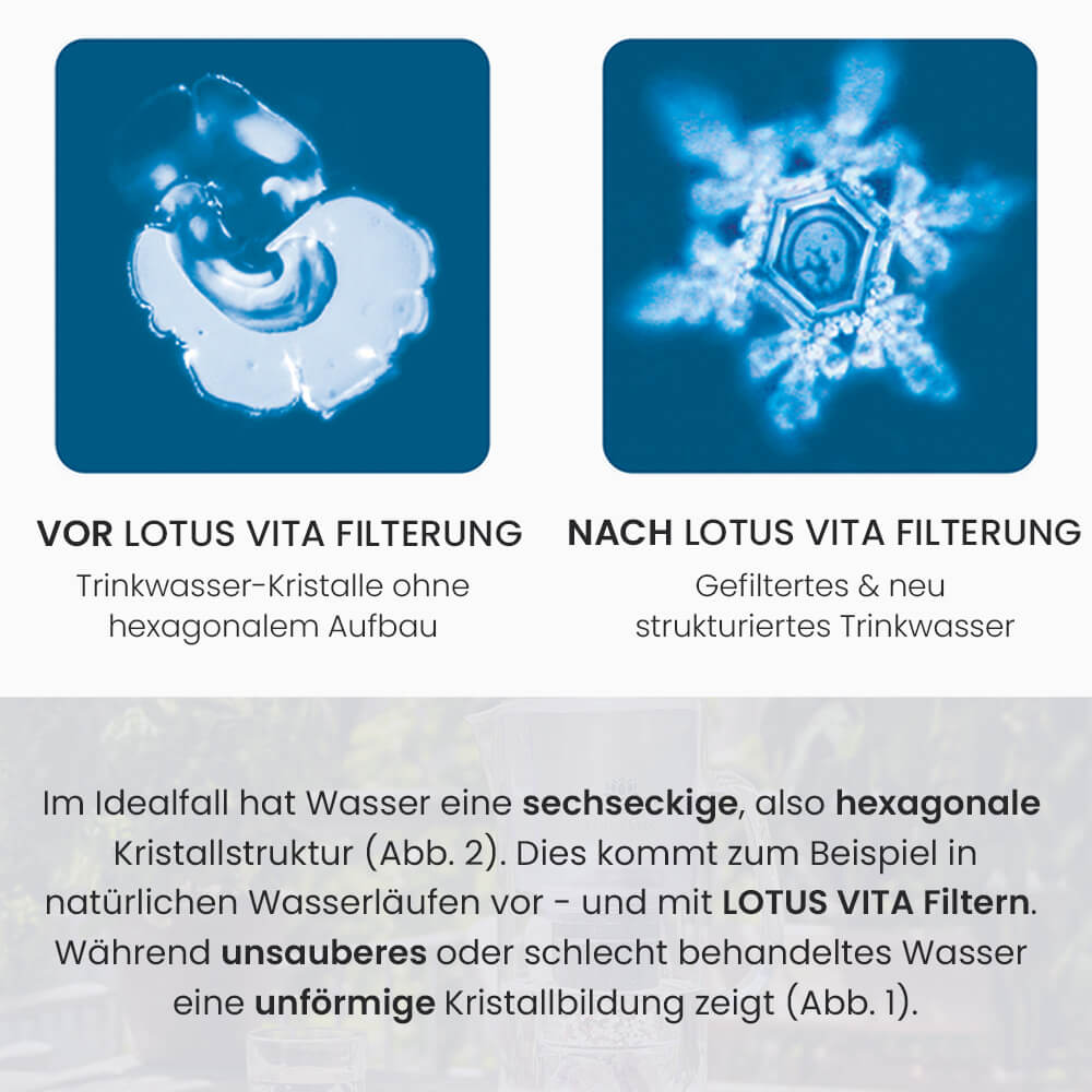 Lotus Vita Wasserfilter Glaskanne Enya mit Bambusdeckel 1,4L - Natura Plus Wasserkristalle